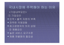 [국제경영] ‘데이터클리어’ 해외진출전략-13
