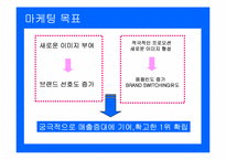 [마케팅조사] 박카스 위기 극복전략-13
