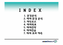 [매체전략기획서] 다음다이렉트자동차보험 매체전략기획서-2