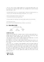 [홍보기획론] 체내형 생리대(템포)의 PR기획서-9