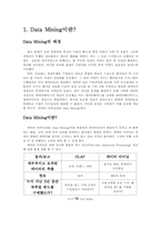 [데이타마이닝] Data Mining 기법을 이용한 보험사기 적발사례-2