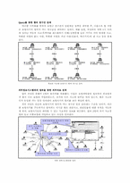 [데이타마이닝] Data Mining 기법을 이용한 보험사기 적발사례-8