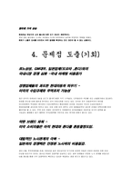 [국제경영] 현대자동차 경영정책-13