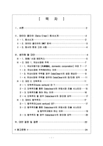 [국제경영] ‘데이터클리어’ 해외진출전략-1