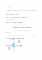 [마케팅전략] `마레 통살 참치`의 Marketing 전략-12