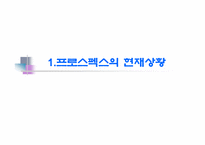 [경영학] 프로스펙스의 문제점 분석과 대안-3