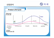 [마케팅전략] `마레 통살 참치`의 Marketing 전략-5