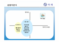 [마케팅전략] `마레 통살 참치`의 Marketing 전략-13