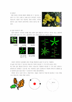 [디자인] 황금비에 대해서-9