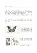 [디자인] 황금비에 대해서-11