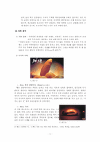 [광고섹슈얼리티] 광고와 섹슈얼리티(광고 속의 성에 대하여)-5