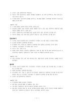 [특수교육] 아동 지능검사(K-WISC-Ⅲ)-11