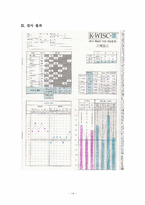 [특수교육] 아동 지능검사(K-WISC-Ⅲ)-14