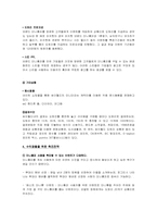 [인터넷비즈니스] 싸이월드의 수익창출 부분과 그 밖의 문제점 및 개선방안-10