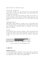 [사업계획서] 온라인 과일, 샐러드 배달사업-5