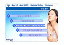 [국제마케팅] 중국시장에서 LG전자 `휘센`의 마케팅전략-3
