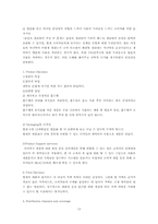 [마케팅] 동아제약 `템포` 마케팅계획서-13