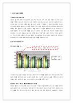 [국제경영] pc방 사이버리아 해외지상진출전략-2