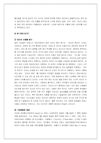 [국제경영] pc방 사이버리아 해외지상진출전략-3