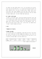 [국제경영] pc방 사이버리아 해외지상진출전략-11