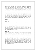 [국제경영] pc방 사이버리아 해외지상진출전략-13