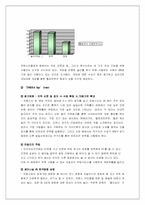 [국제경영] pc방 사이버리아 해외지상진출전략-18