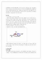 [국제경영] pc방 사이버리아 해외지상진출전략-19