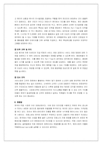 [국제경영] pc방 사이버리아 해외지상진출전략-20
