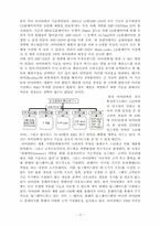 [경영전략분석] 아이리버 성공전략분석-10