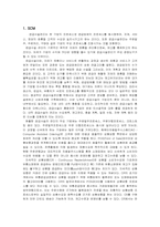 [생산운영관리] 롯데마그넷의 SCM사례-4
