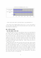 [한류열풍] 한류열풍의 원인 및 현주소, 대책 및 개선책-12