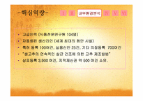 [경영전략] 농심의 경영전략-14