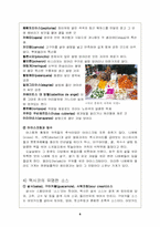 [관광과 외식문화] 멕시코요리와 국민성과의 관계-6