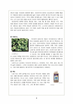 [관광과 외식문화] 멕시코요리와 국민성과의 관계-8