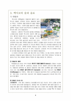 [관광과 외식문화] 멕시코요리와 국민성과의 관계-9