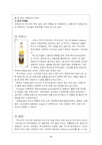 [관광과 외식문화] 멕시코요리와 국민성과의 관계-11