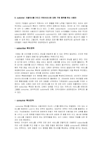 [인터넷마케팅] 주요 온라인포탈 기업의 현황과 마케팅 활동에 대한 평가- 다음, 네이버, 네이트-4