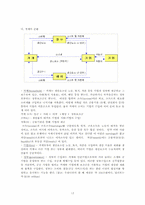 [초등사회기초이론] 초등사회교과서 분석 및 재구성-17