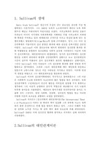 [발달이론] Sullivan(설리반)의 대인관계 이론-3