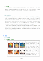 [생명의료윤리학] 태아를 죽이는 것과 배아를 죽이는 것은 무엇이 다른가-3