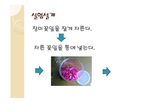 장미꽃으로향수만들기-6