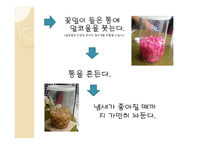 장미꽃으로향수만들기-7