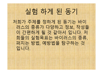 과학탐구 보고서 - 컴퓨터 바이러스의 종류-2