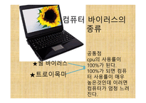 과학탐구 보고서 - 컴퓨터 바이러스의 종류-3