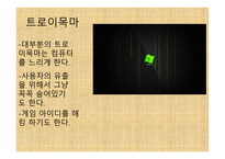 과학탐구 보고서 - 컴퓨터 바이러스의 종류-5