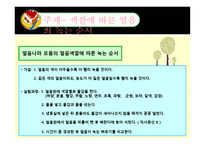 색깔별 아이스크림의 녹는순서-5