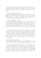[경영전략] 경영전략의 유형의 개념을 설명하고 사례기업의 예를 드시오-3
