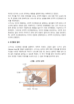 고전적 조건화와 조작적 조건화를 비교 설명하시오-6