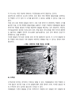 아동발달의 기본 특성(아동발달의 기초성, 적기성, 누적성, 불가역성)-3