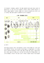 태내발달의 단계(배란기, 배아기, 태아기)-3